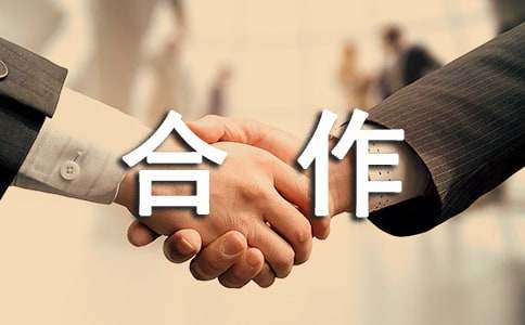 IM电竞 IM电竞平台计算机软件合作开发合同(图1)